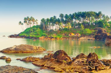 Deniz ve uzun palmiye ağaçları büyük kayalar. Renkli.