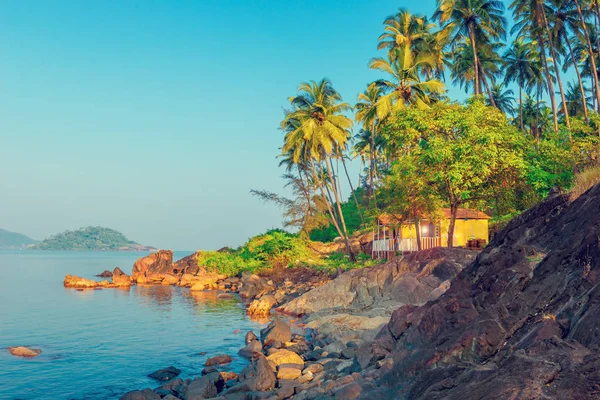 Palmbomen groeien op de rotsachtige kust in het hemelse plaats. Getint. — Stockfoto