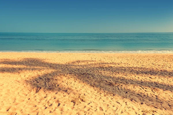 Skuggan av kokospalm på en tropisk sandstrand. Tonade. — Stockfoto