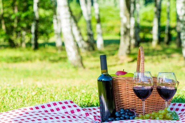 Rotwein und reife Trauben liegen auf einer Tischdecke auf einer Liegewiese. — Stockfoto