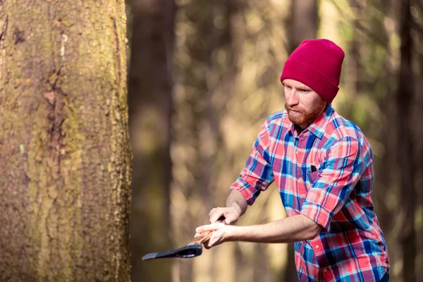 Lumberjack while working with an ax, a forester - a hipster chop — Stock Photo, Image