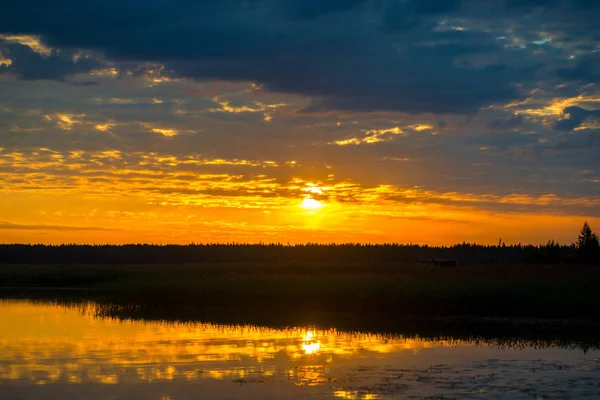 Hermoso atardecer - sol naranja y cielo sobre el bosque por la la —  Fotos de Stock