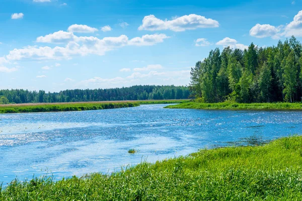 Krásná krajina za slunečného dne - malebné čistá řeka v th — Stock fotografie