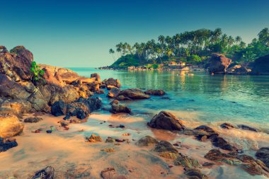 pitoresk bir tropikal yer şafakta. Renkli.