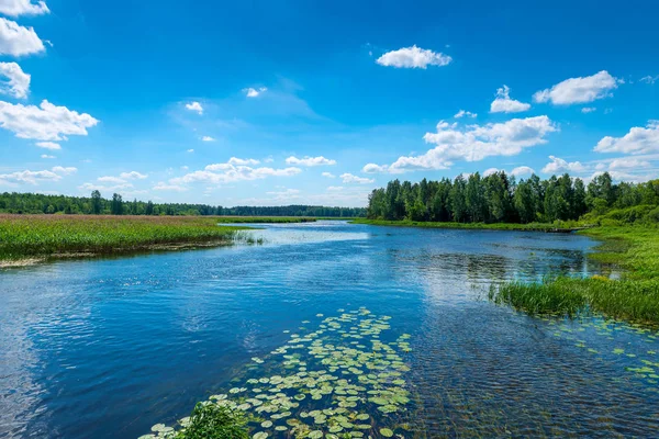 Krásná krajina - řeka s čistou vodou, zelený Les — Stock fotografie