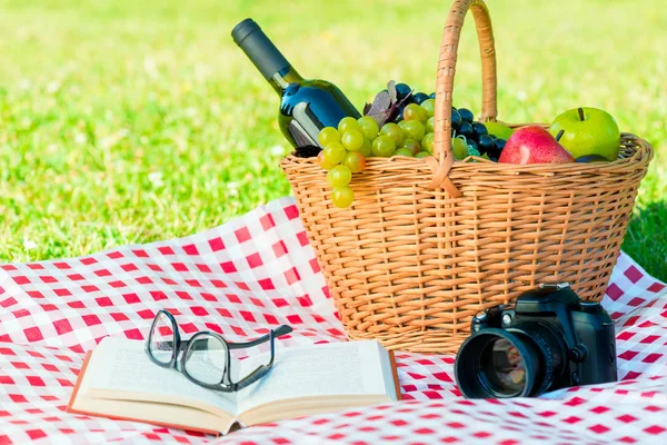 Bir piknik sepeti yiyecek ve alkol, bir kitap ve bir kamera ile bir — Stok fotoğraf