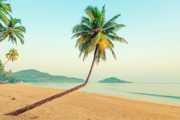 Beautiful coconut palms and tropical beach. Tinted. — Stock Photo, Image