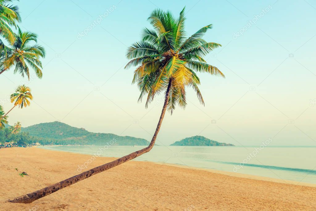 beautiful coconut palms and tropical beach. Tinted.