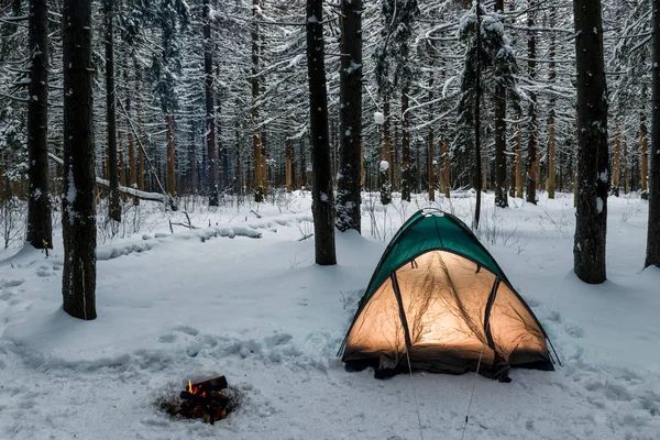 Tent in the winter forest on a hike, near a burning fire — Stock Photo, Image