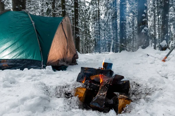 Close-up of a fire in the snow against the background of a green — Stock Photo, Image