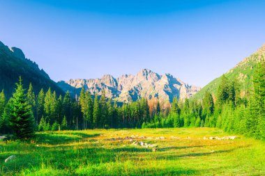 Polonya'da yüksek Tatras görünümünü şafak, manzara