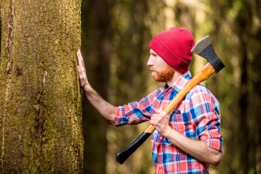 Sakallı forester dokunuşlar ağaç kabuğu tepesi ile bakmakta
