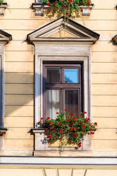 Finestra di casa in legno con bellissimi fiori rossi in un primo piano pentola — Foto Stock