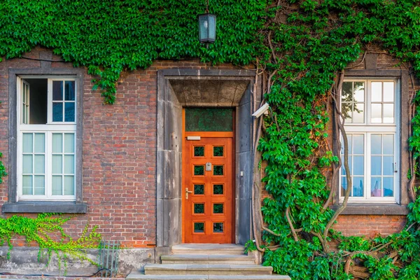 La porta in legno e due finestre dell'edificio, ricoperte di — Foto Stock