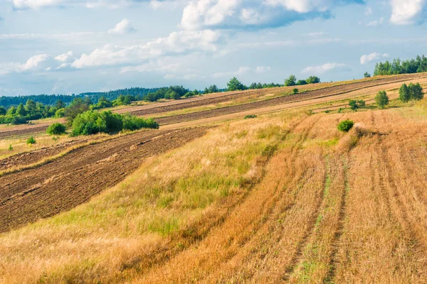 Krásná krajina - žlutá prázdné pole v pozdním létě po ha — Stock fotografie