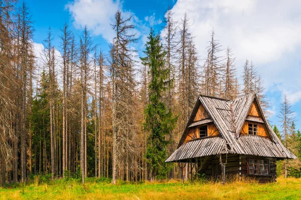 Rifugio di legno abbandonato vicino alla foresta asciutta in una giornata estiva — Foto Stock