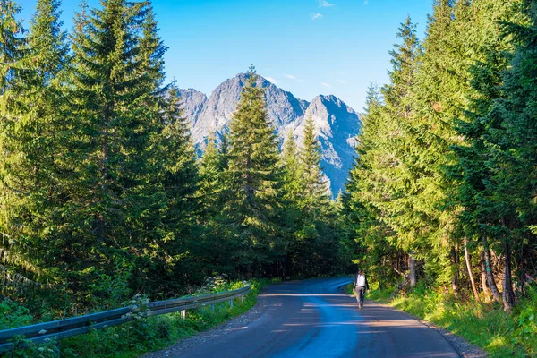 Asfaltoitu tie Morskoye Oko järvelle Tatra vuorilla a — kuvapankkivalokuva