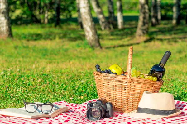 Romantyczny piknik dla miłośników - kosz z winem i owocami na karcie — Zdjęcie stockowe