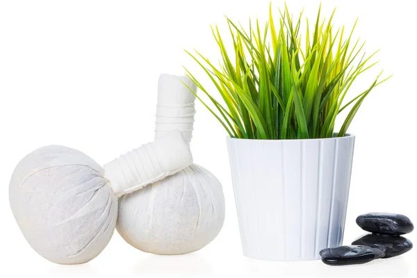 Lázeňské složení látkové masážní tašky, kameny a rostlina na bílém — Stock fotografie