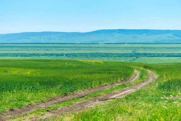 Estrada de terra em um campo verde, bela paisagem com montanha vi — Fotografia de Stock