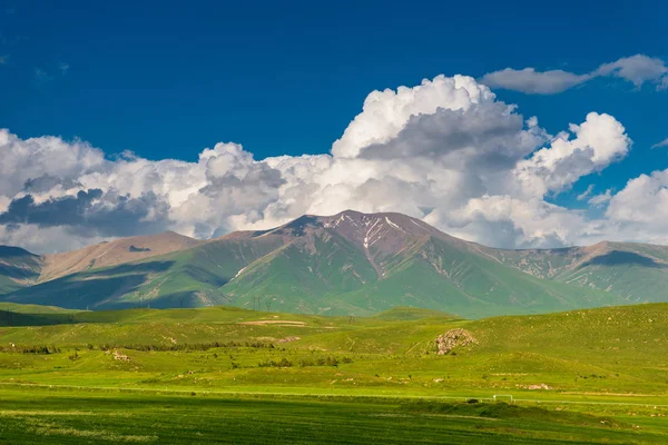 Hoher Gletscher Und Grünes Saftiges Feld Sommer Landschaft Armeniens — Stockfoto