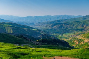 Ermenistan 'ın ufuktaki yüksek dağlarına bakan yaz manzarası çimlerle kaplıydı.
