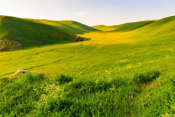 Nekonečné Údolí Arménie Pokryté Svěží Zelenou Trávou Krásné Letní Krajiny — Stock fotografie