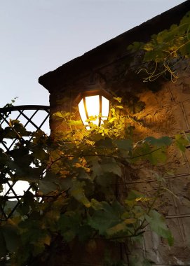 Asma, obvivshem Ferforje fener eski duvarda. Sıcak bir Güney akşam