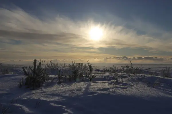 Сонячний зимовий день на узбережжі білому морі. Засніжена сертифіката автентичності — стокове фото