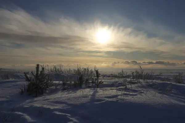 Dia de inverno ensolarado na costa do mar Branco. Cacau coberto de neve — Fotografia de Stock