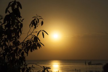 Güney günbatımı arka plan denizde yapraklarda