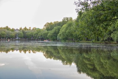 Yaroslavl. Neftyanik Park 'ta sıcak bir akşam. Park rafinerisi. Refleks