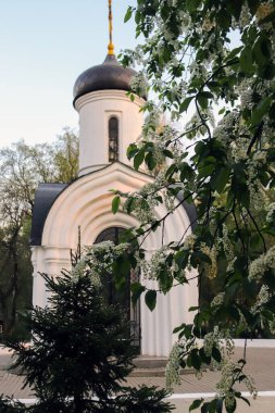 Vologda, Tanrı 'nın annesi Vladimir ikonunun şapeli. Chape.