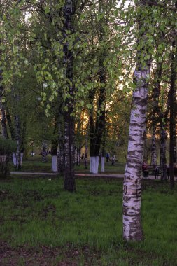 Vologda. Ilık bir bahar akşamı. Vkremlin Parkı; eski Piskopos garı