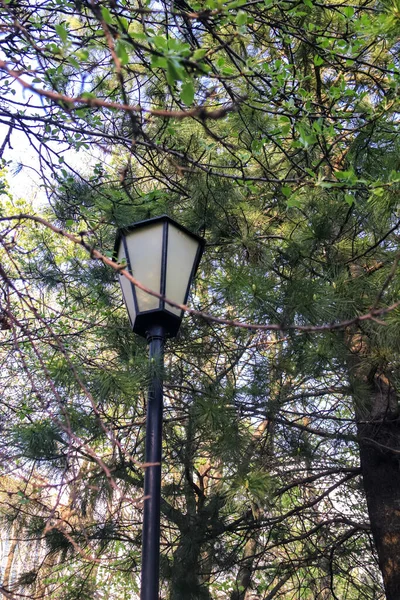 VVologda. Spring evening. Lantern in the square at the young spe — 스톡 사진