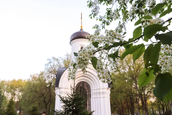 Волога: Каплиця Володимирської ікони Божої матері. Chape — стокове фото
