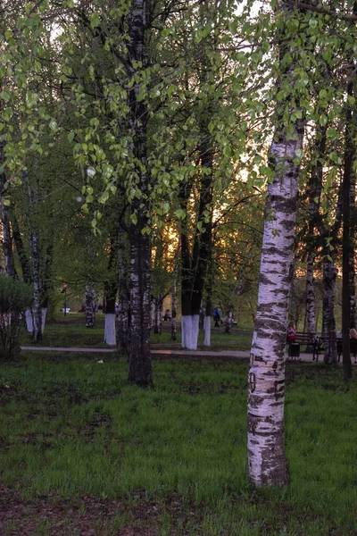 Vologda. Una cálida noche de primavera. Parque VKremlin; antiguo gar del obispo — Foto de Stock