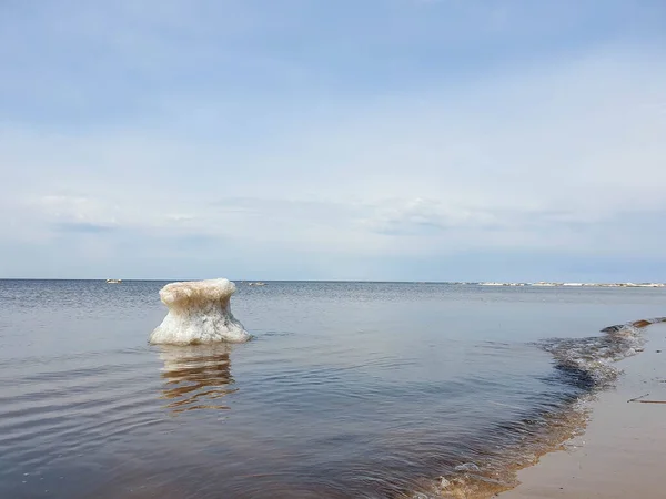 Våris Den Vita Havskusten Yagrys Det Severodvinsk Regionen Archangelsk Fina — Stockfoto