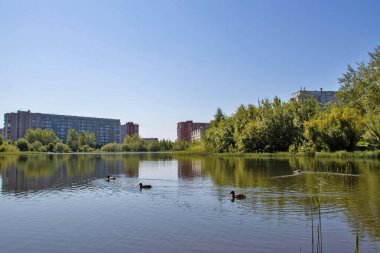Jagra adasında yaz günü. Chayachiy Gölü. Severodvinsk, Arkhangelsk bölgesi. Yansıma