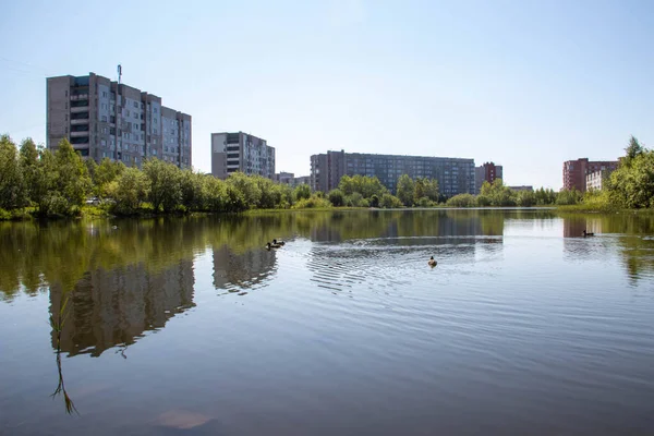 Letní Den Ostrově Jagra Jezero Chayachiy Severodvinsk Archangelsk Reflexe — Stock fotografie