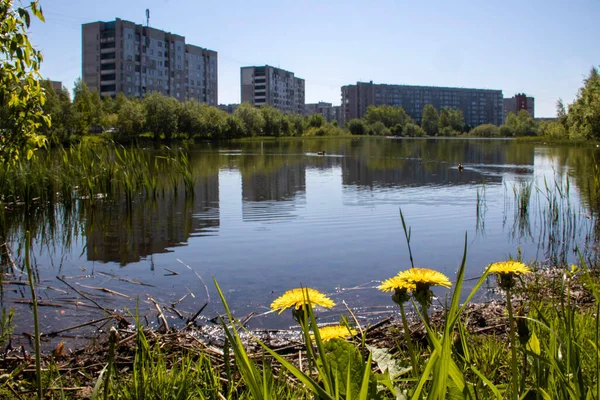 Zomer Dag Het Eiland Jagra Het Meer Chayachiy Severodvinsk Regio — Stockfoto