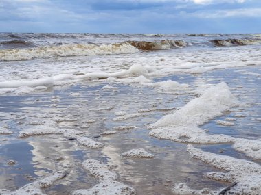 Acımasız Beyaz Deniz. Yagry Adası, Severodvinsk, Arkhangelsk bölgesinde soğuk yaz günü