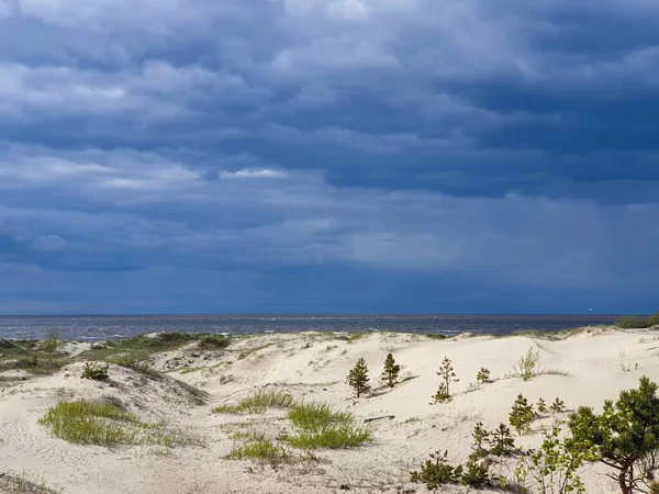 Літній День Острові Ягрі Білому Морі Северодвінську Архангельській Області Буря — стокове фото