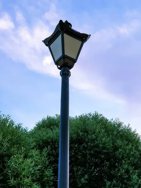 千年公园落日下一盏灯的轮廓 Yaroslavl — 图库照片