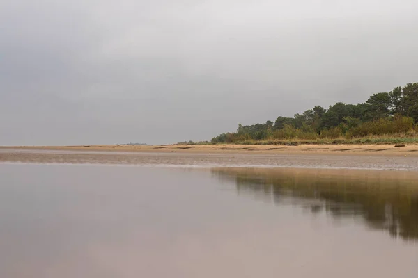 Sommertag Auf Der Insel Jagry Sewerodwinsk Einzigartiger Kiefernwald Weiße Meeresküste — Stockfoto