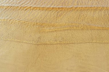 Severodvinsk 'teki Yagry adasında sonbahar günü. Beyaz deniz kıyısında. Deniz gelgiti. geniş gelgit bandı. özellikler alçak gelgit 