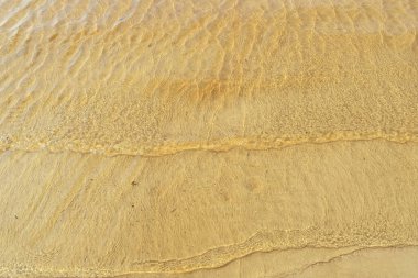 Severodvinsk 'teki Yagry adasında sonbahar günü. Beyaz deniz kıyısında. Deniz gelgiti. geniş gelgit bandı. özellikler alçak gelgit 