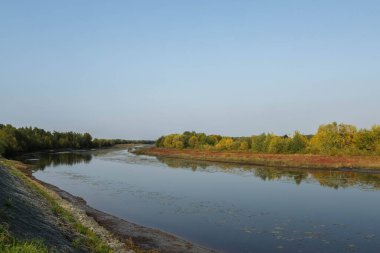 Rusya 'nın kuzeyinde sonbahar. Shikhirikha Arkhangelsk bölgesindeki asma köprü. Olağanüstü perspektif ve simetri. Malkurya Nehri