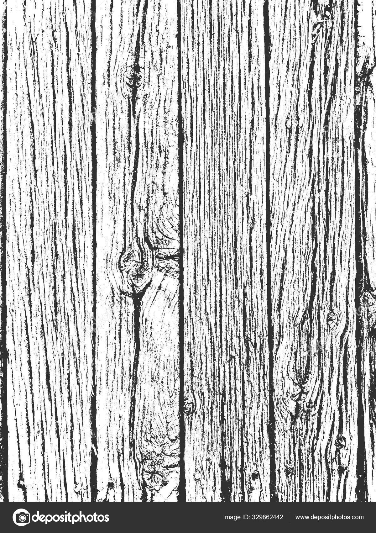 Distress old dry wooden texture. Black and white grunge background ...