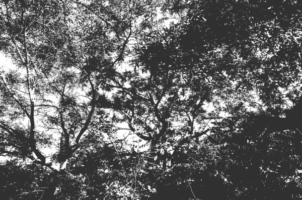 Folhas Árvore Estresse Textura Folheto Fundo Grunge Preto Branco Eps8 — Vetor de Stock